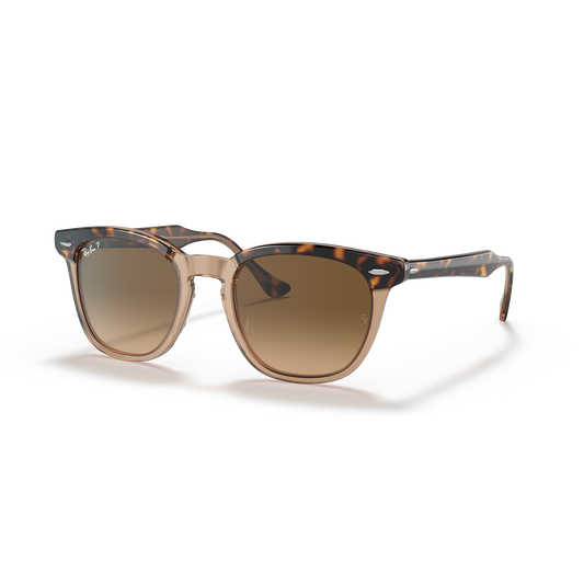 Ray-Ban RB2298 Sunglasses