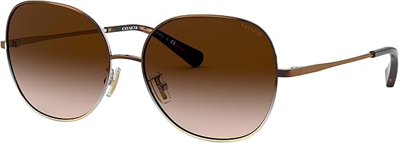 Coach Sunglasses HC 7108 933913 Brown Silver Gold Gradient