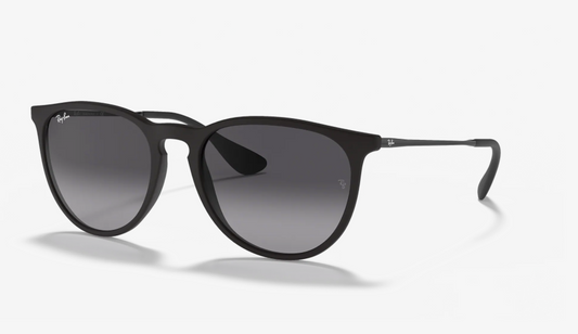 Ray-Ban RB4171 Erika Sunglasses