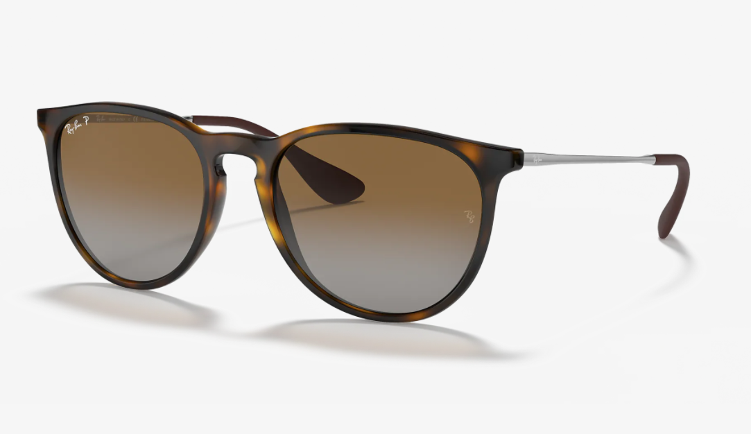 Ray-Ban RB4171 Erika Sunglasses