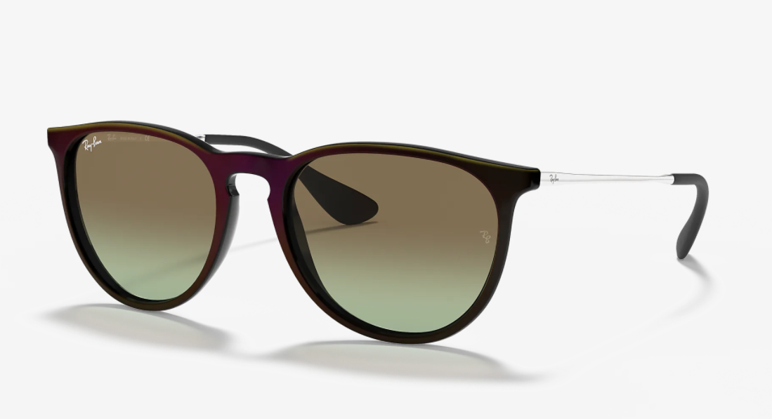 Ray-Ban RB4171 Erika Sunglasses