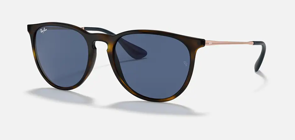 Ray-Ban RB4171 Erika Sunglasses